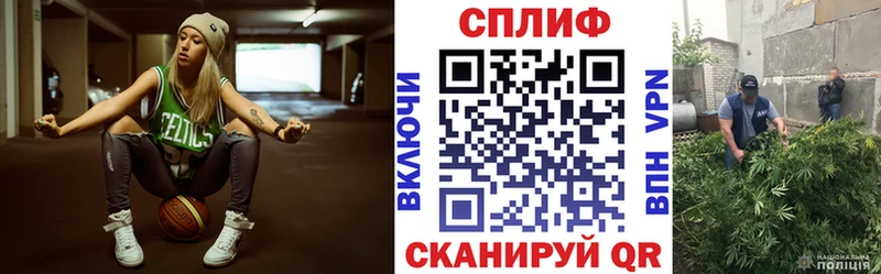МАРИХУАНА сатива  Собинка 